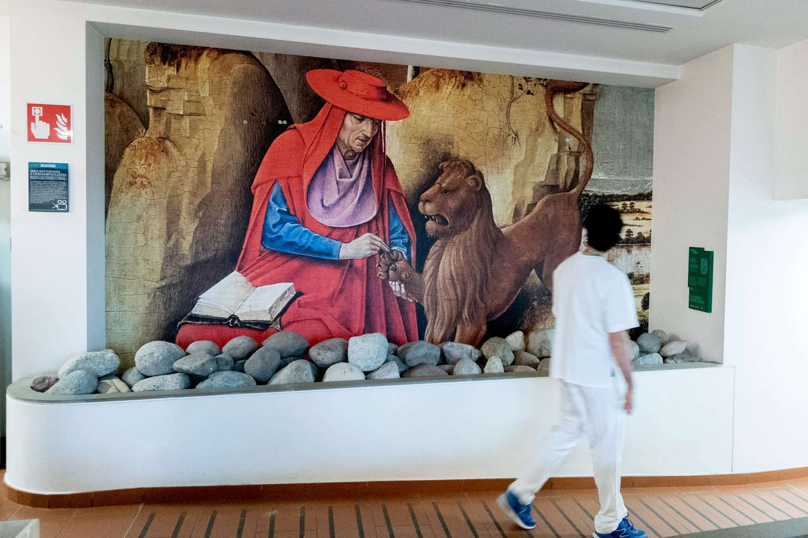 Saint Jerome lifting the thorn from the lion, Rogier Van Der Weyden, Via Gavazzeni entrance, Humanitas Gavazzeni, 2018.