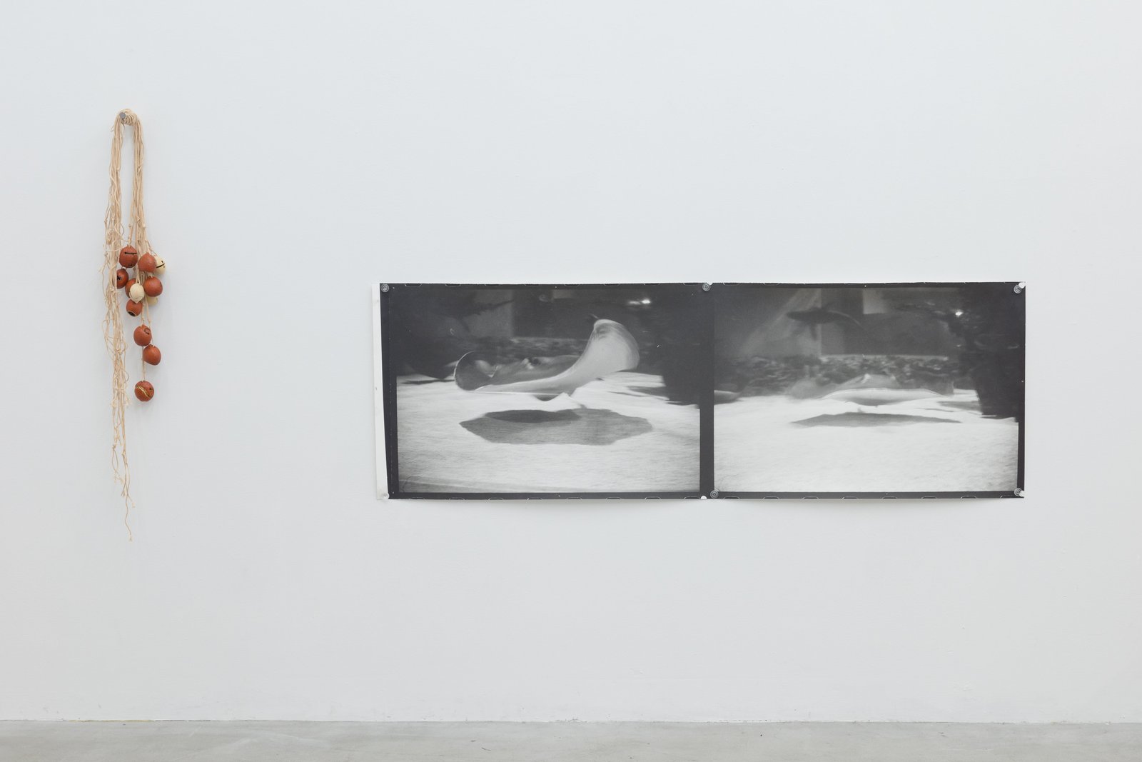 ‘Revolta Hello’, 2023 Sotetsu (Cycas), Kite strings / RINTAROU TAKAHASHI, photography by Kisshomaru Shimamura 