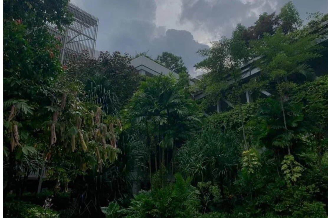  KTPH, Hospital Facades, Jeffery Lok, 2022