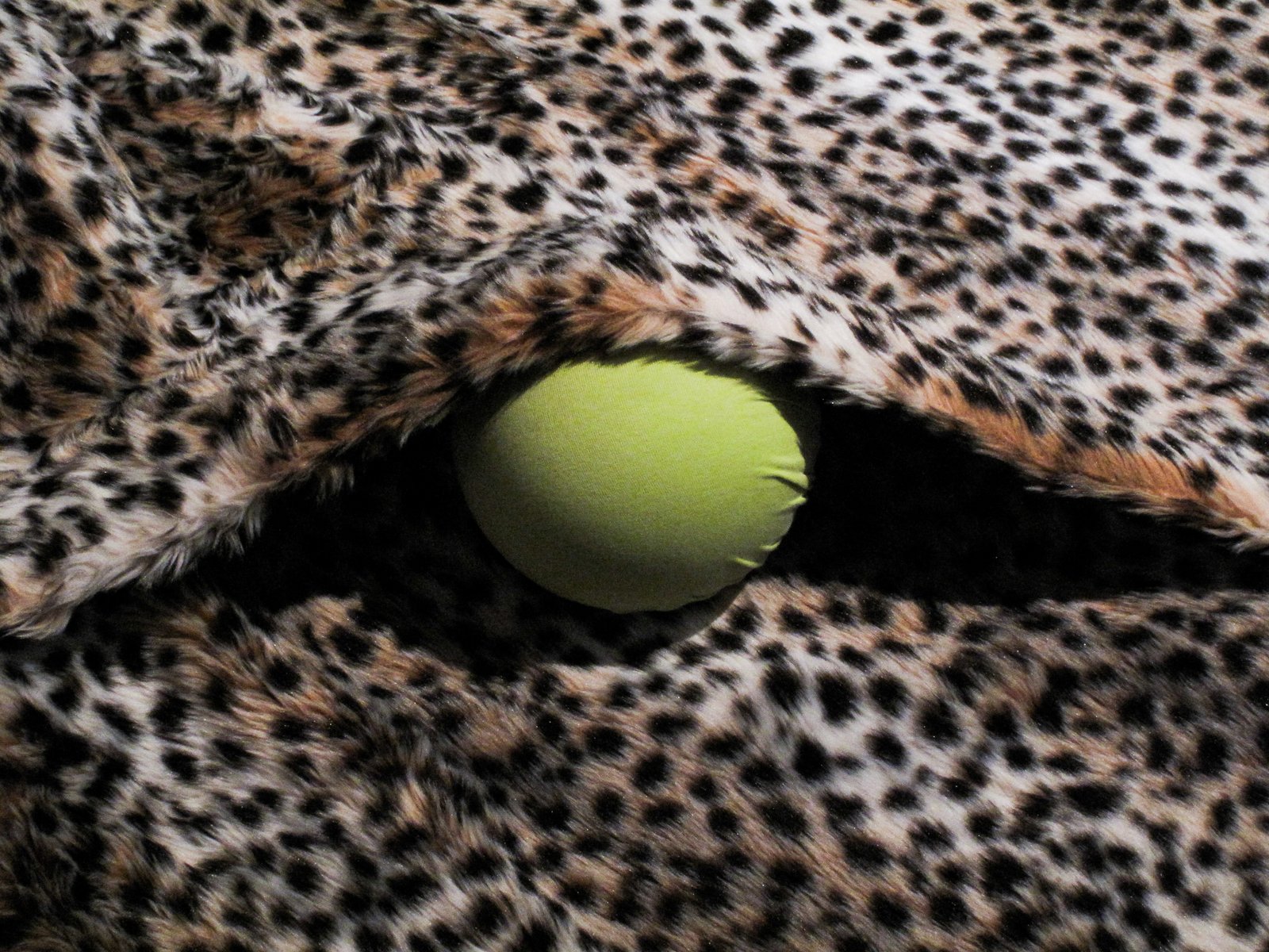 Marion Baruch, Lorenz, 1971-1972, detail. Photo: Matteo Bico