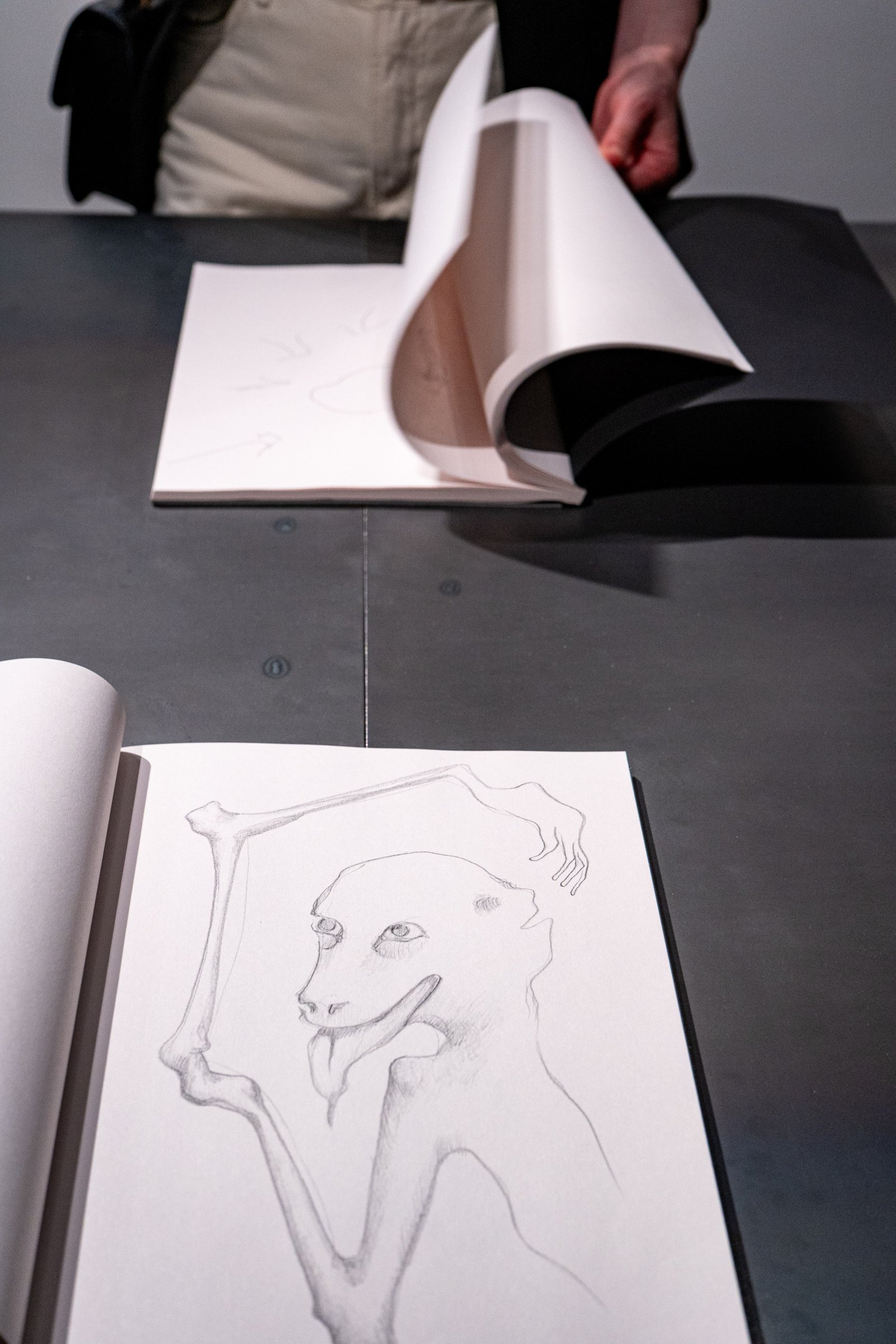 Giulia Cenci, the hallow men, Project Space, Palazzo Strozzi, Firenze, fotografia di Pontus Berghe