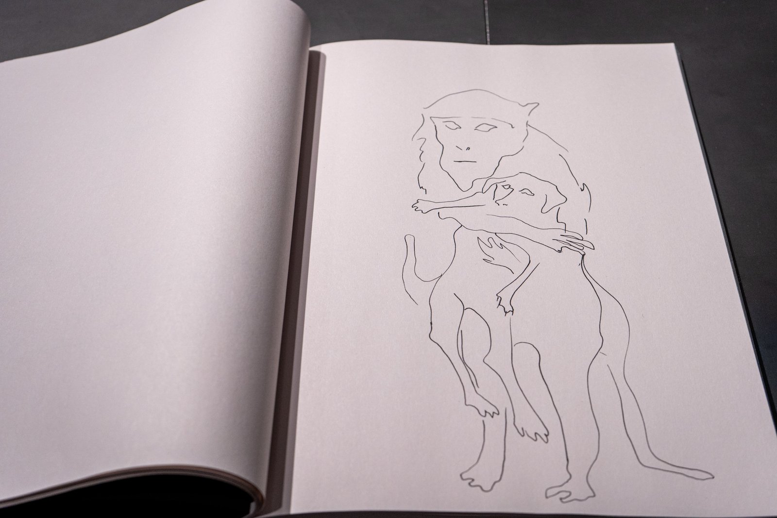 Giulia Cenci, the hallow men, Project Space, Palazzo Strozzi, Firenze, fotografia di Pontus Berghe