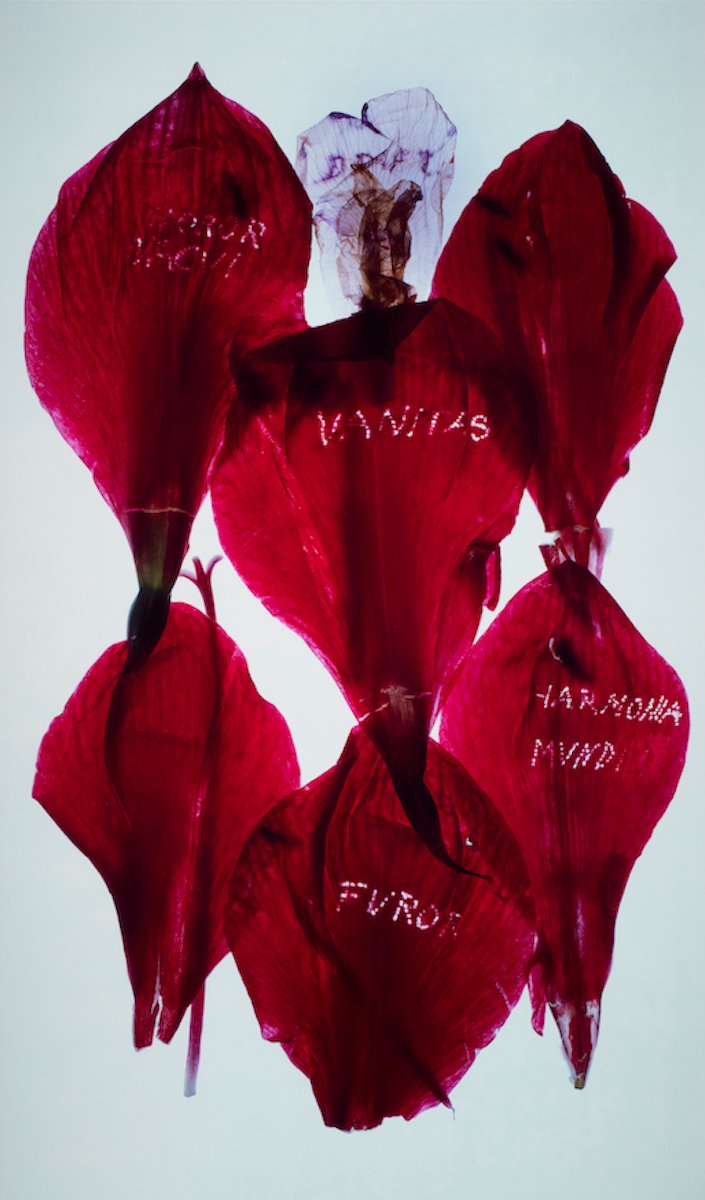 Anne e Patrick Poirier, Archives, 2014. Stampa Ilfochrome montata su Dibond, 241x151x6 cm