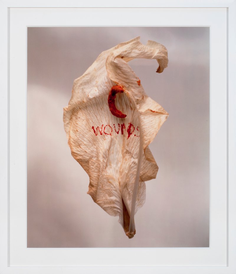 Anne&PatrickPoirier, Fragility, 1994