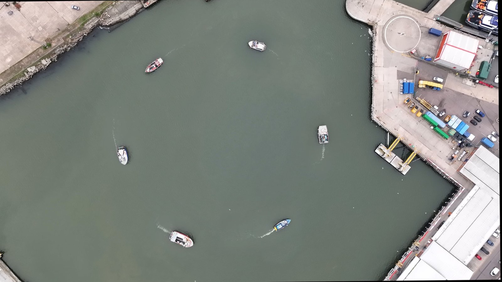 Anastasia Eggers, Brexit Herring. Copyright: Anastasia Eggers