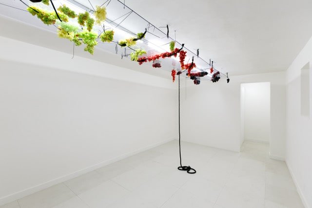 Miriam Laura Leonardi, THE GIFT, a cura di Samuel Gross, 2019, plexiglass,visione della mostra. L'Ascensore Palermo. PH Filippo M. Nicoletti