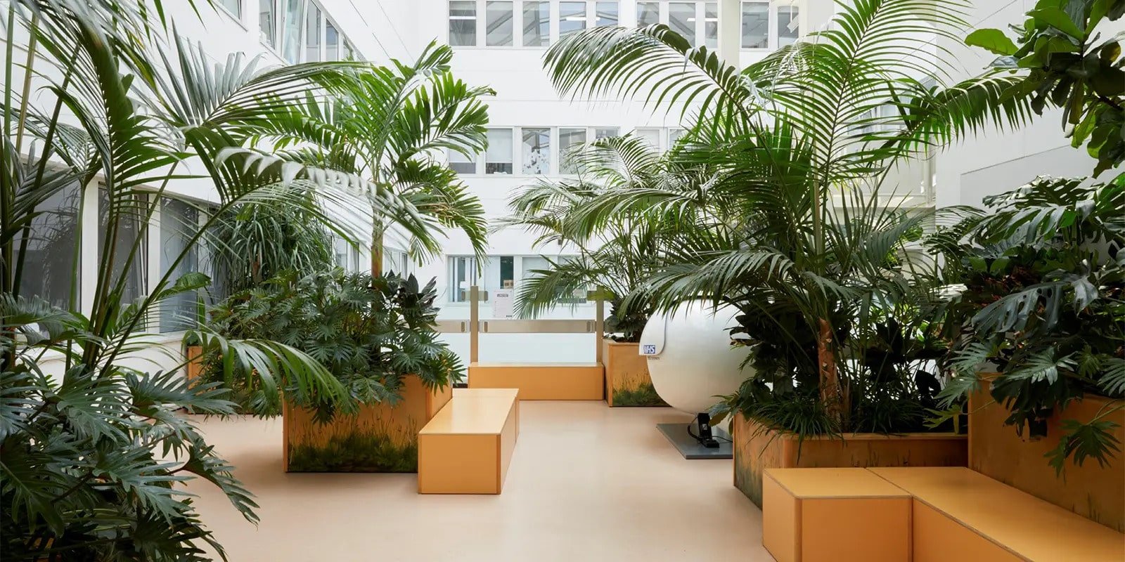 Il respiro della natura negli spazi di cura:  dialogo tra Biofilia, Design e Healing Gardens cover