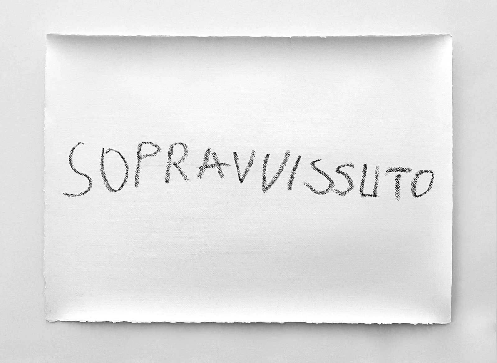 Marcello Maloberti, Sopravvissuto, 2025