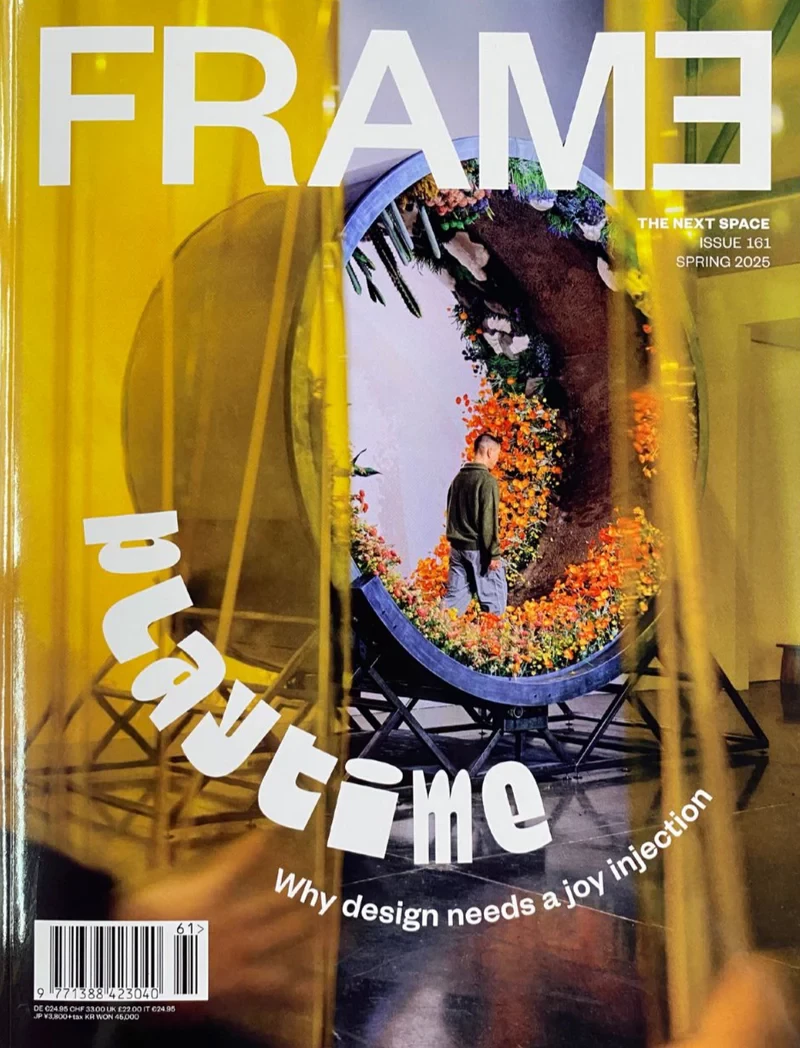 Frame n. 161 cover