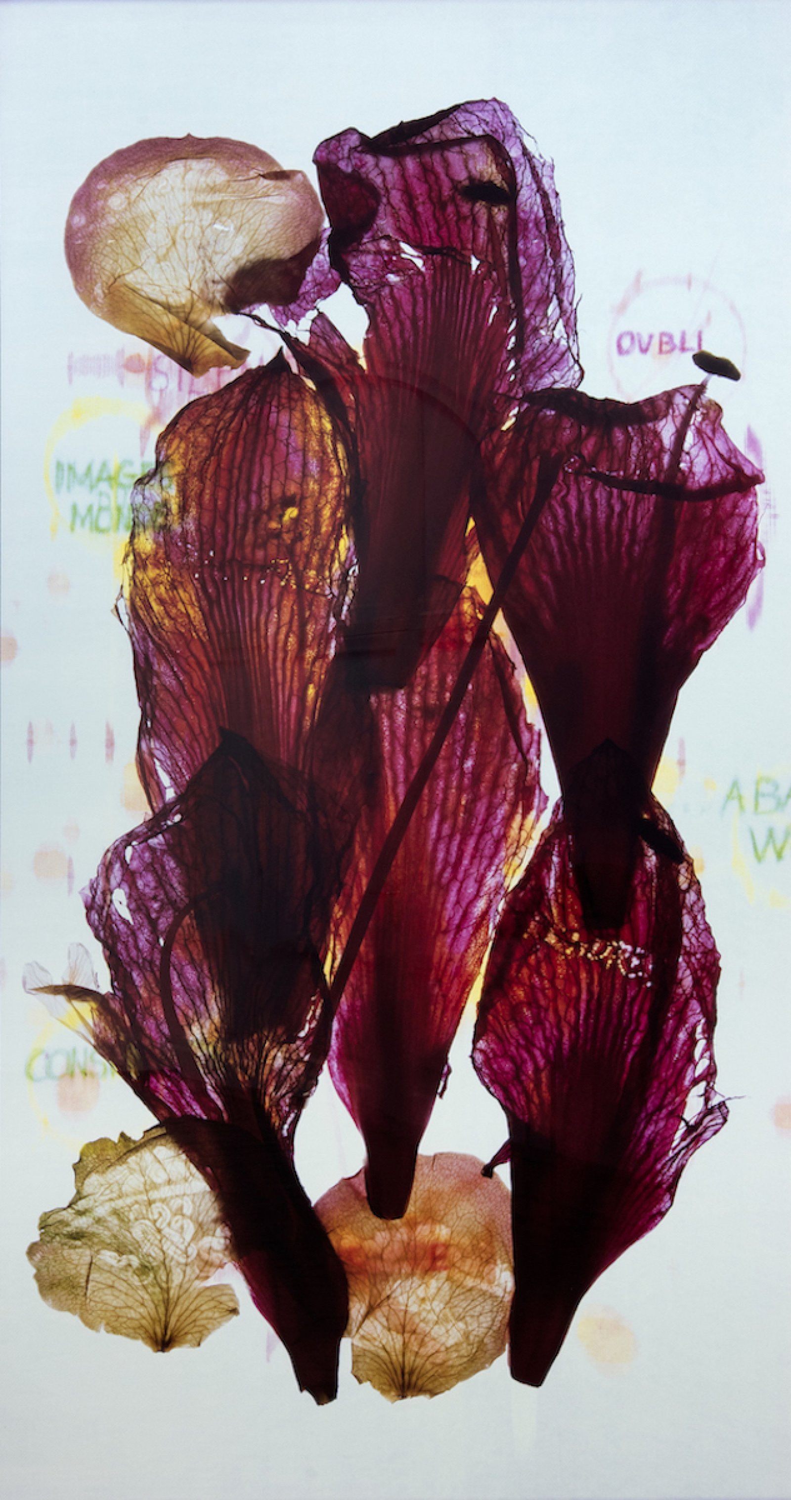 Anne e Patrick Poirier, Archives, 2014. Stampa Ilfochrome montata su Dibond, 257x151x6 cm