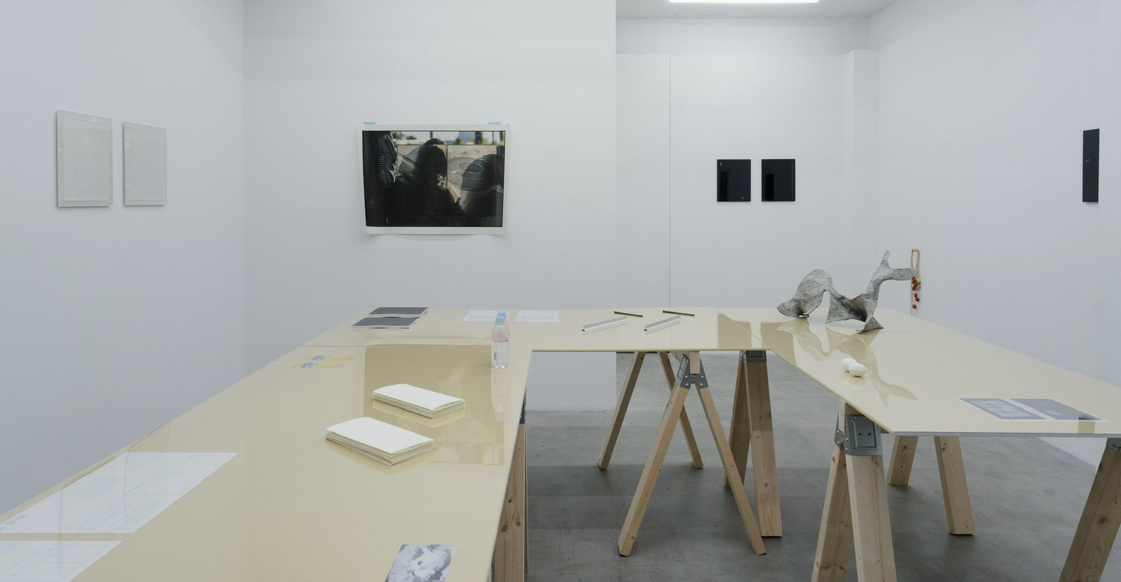 Installation view, Objects, Enamel, Plaster, Pigments on Perspex, Eggs, Water, Paper, Photographs, Light, Reflections, Linen, Wood, Panels, Horses, Cycas, Parts, photograph by Kisshomaru Shimamura