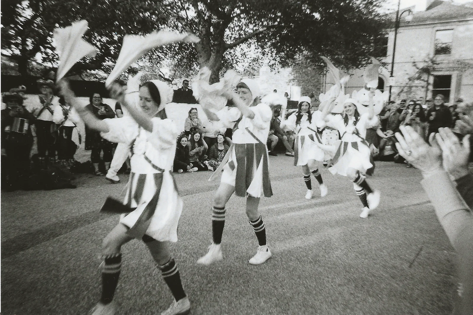 Il Rinascimento del Folk: Tradizione, Natura e Resistenza Culturale cover